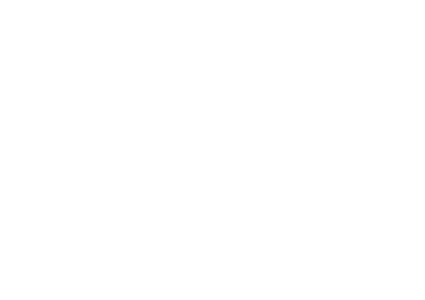 Warrior Group Logo