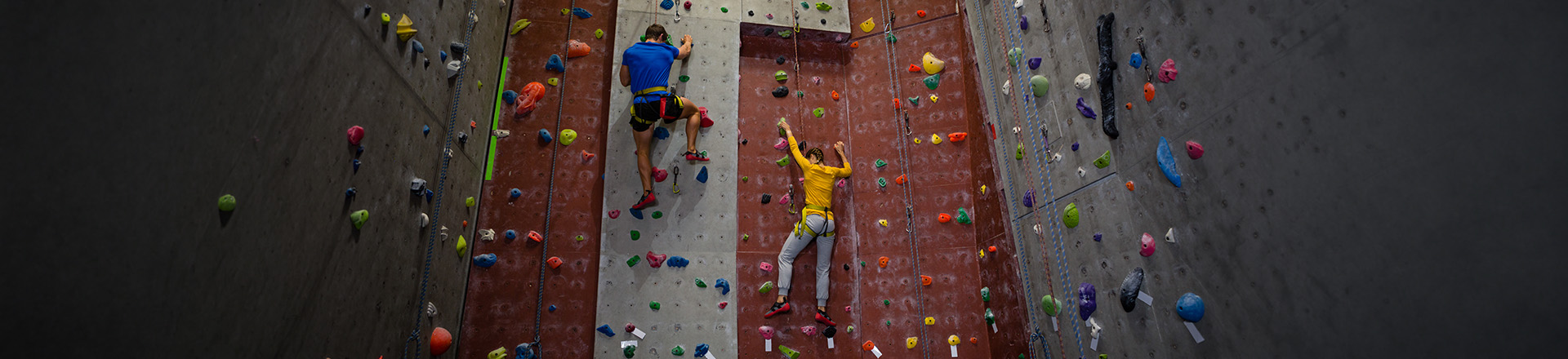 Hero image: Adventure park with zip line and climbing wall in the Middle East, engineered by Warrior Construction