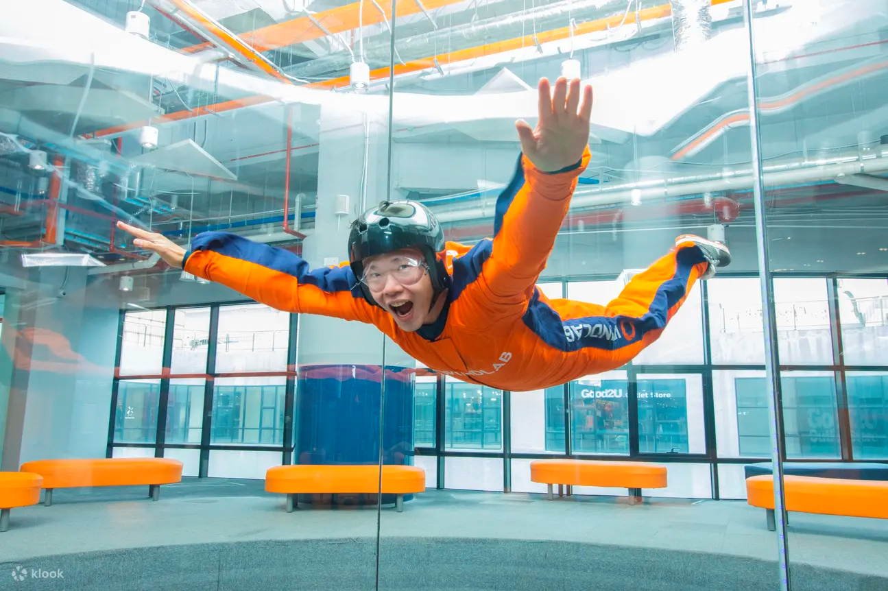 Skydive Simulator